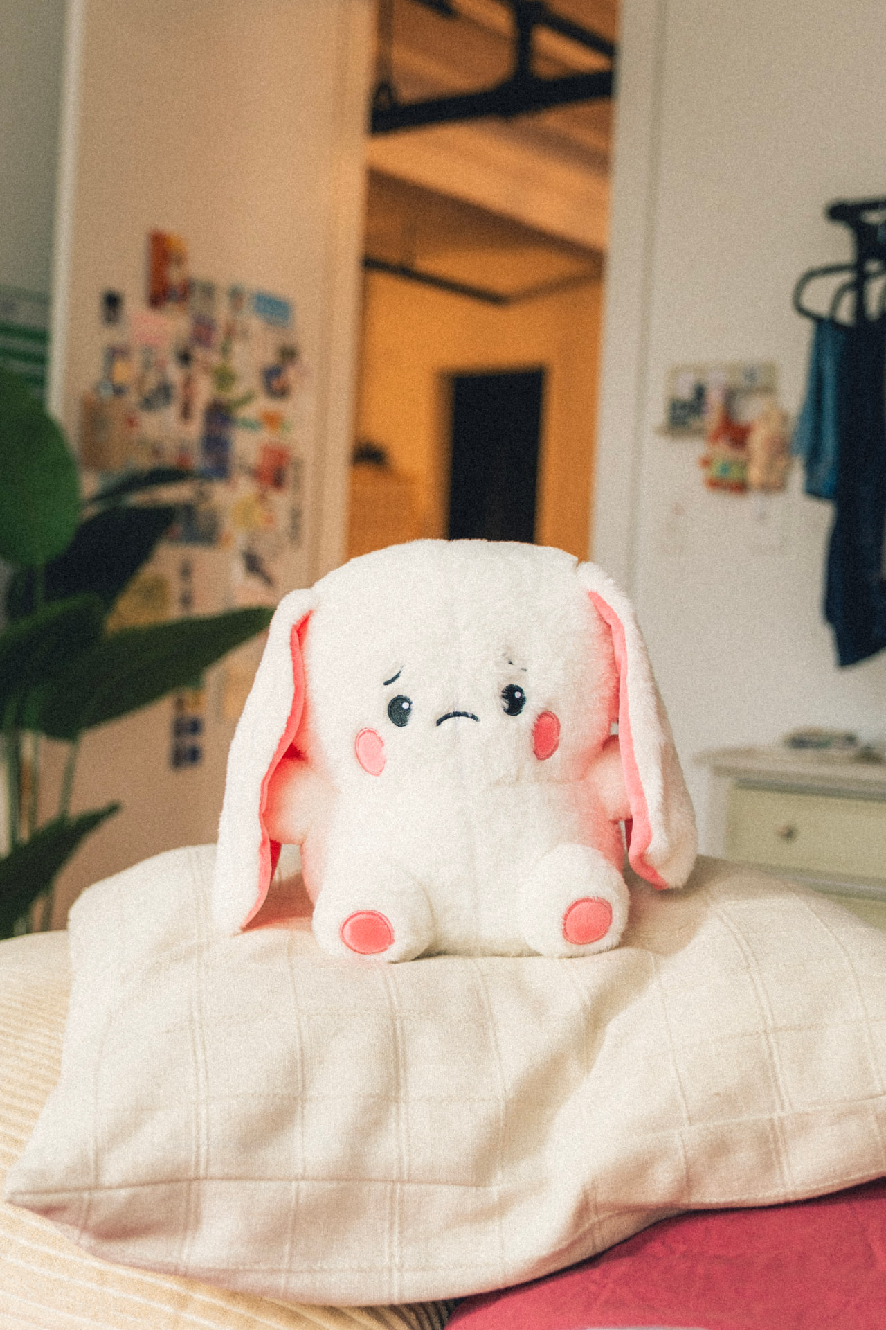 mellie the the sensitive marshmallow bunny image 4