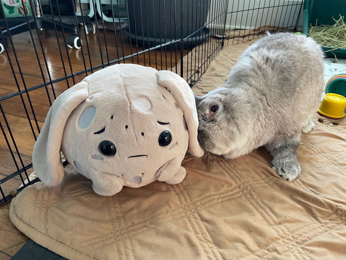 Luna & Luna with their but cute